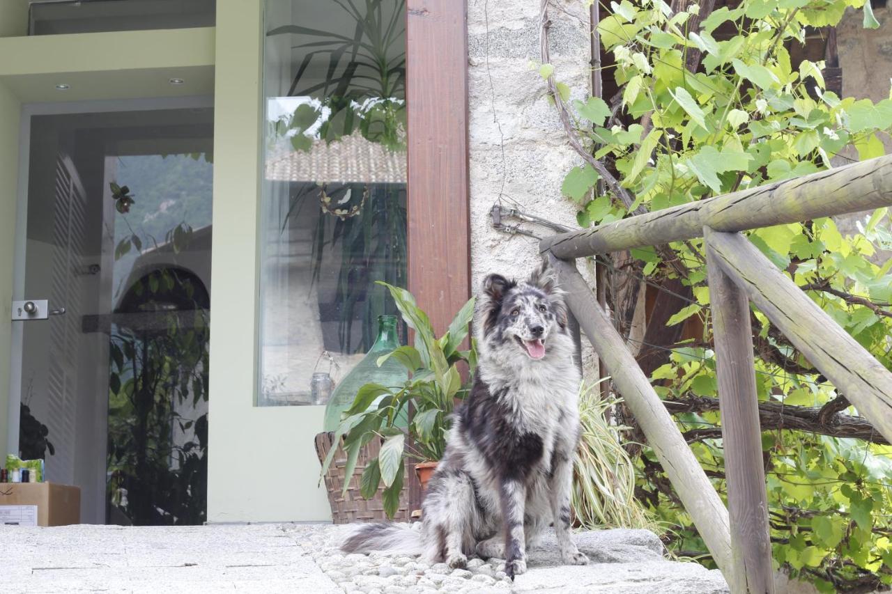 B&B Casa Gori Madice 외부 사진